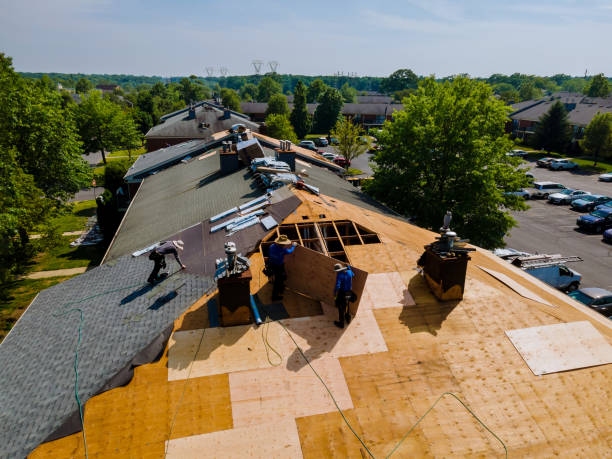 Best Flat Roof Repair Services  in Nashville, IN